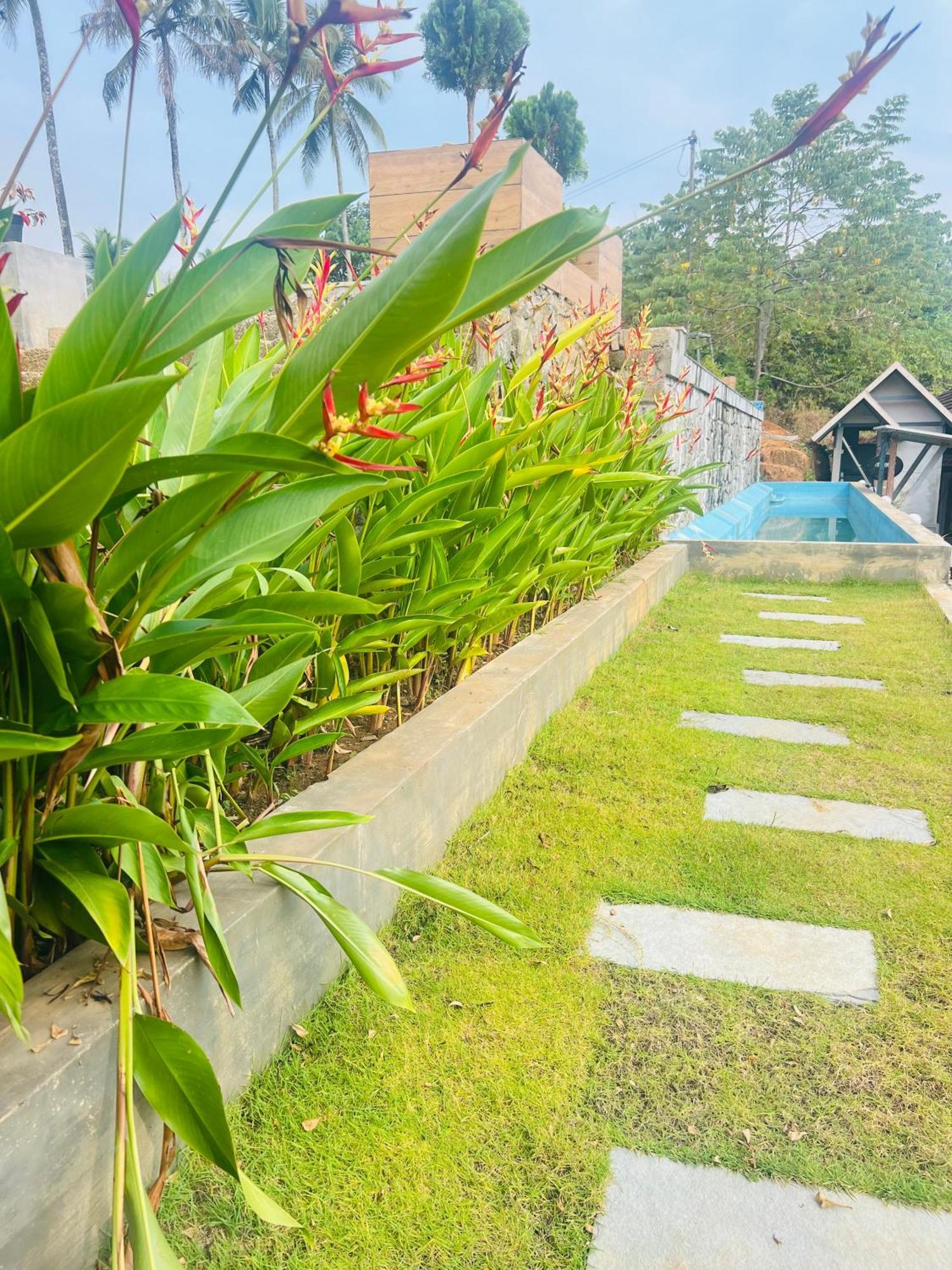 Coconut Valley Neriyamangalam Zewnętrze zdjęcie
